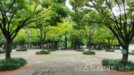 [르포] 작은 고추가 맵다, 138가구 시청역 동원시티비스타