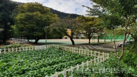 [르포] 공급과잉 대구에 줍줍 불가피 수성레이크 우방아이유쉘