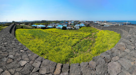 [포토] 제주, 하도리 별방진의 봄