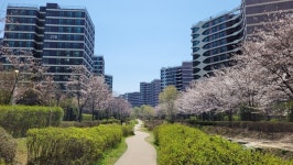 [C집살이]반도체 특명 조성환 현대모비스 사장 수원 사는 이유