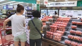 대형마트 의무휴업 완화 재점화.. 이마트·롯데쇼핑 기대감