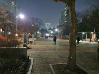 고양시 백마, 마두, 강촌공원 확 밝아진다…조도개선공사 착수