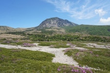 제주 세계유산본부 한라산 지질조사 보고서 발간