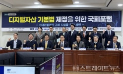 스테이블 코인, 국내 금융시장 규제 방향은?