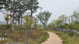 포항시 도시숲 온실가스 배출권 거래제 외부사업 추가 승인…전국 최다 보유