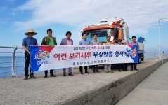 [충남] 보리새우 첫 방류... 新 수산자원 조성