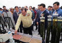 [당진] 사료용 벼 생산 시연회 개최