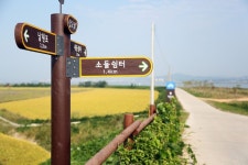 당진 삽교호~우강 천변 자전거 길에서 느끼는 가을