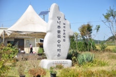 [당진] 시설 중심 체험마을은 반드시 실패한다