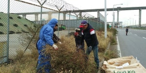 당진 신평면 매산2리 청년회, 환경정화 활동 펼쳐