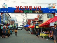 [당진신문 역사산책] 새로 찾아보는 독립만세운동Ⅰ-버그네장터 독립만세운동