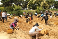아이들 업고 왔다가 감자 메고 갑니다