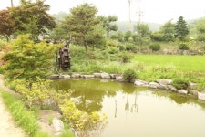 마르지 않고, 한파에도 얼지 않는 고래샘