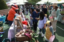 당진 농부시장 당장 28일 개장