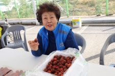 당진 석문면 삼봉4리 직거래장터를 가다