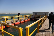 [업체탐방] 여행과 낚시를 동시에 즐긴다...도비도 무기수산 좌대낚시