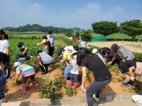 폐교 위기에서 혁신학교로...초락초 꼬마농부들의 감자 수확