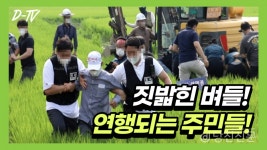농민앞에서 벼 짓밟은 한전...막아서는 농민 대규모 연행