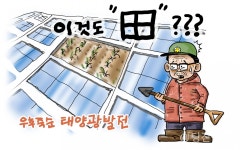 태양광 발전소도 쪼개기?...막대한 농작물 피해 우려