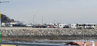 당진 장고항 화장실 대란..임시 화장실 설치한다