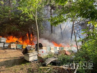 당진 순성면 양봉장에서 화재