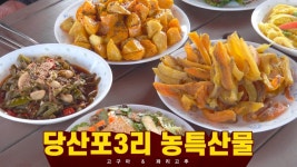 [DTV] 아름다운 마을, 고대면 당진포3리로 놀러오세요~