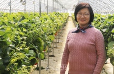 달콤한 딸기의 터전,  이배딸기농원