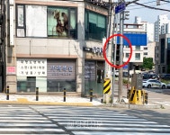 [독자제보] 가려진 보행·바닥 신호등