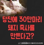 산폐장 악몽 재현되나..당진 축산복합단지 논란 가열