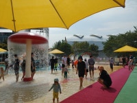 당진종합운동장 생활체육공원 내 물놀이장 개장