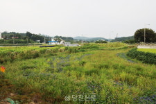 순성면 행정복지센터 주차장 추가 조성