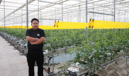 토마토 사랑으로 열혈 청년 농업인이 되다