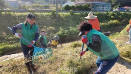 우리가 지키는 생태계..생태계교란식물 제거 활동