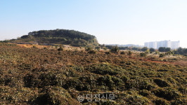 주택건설 불황에도 당진에 아파트 좀 짓겠습니다