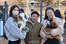 반려동물과 마음껏 뛰어노세요..당진시 반려동물 놀이터 개관