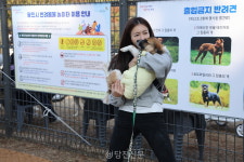 반려동물과 마음껏 뛰어노세요..당진시 반려동물 놀이터 개관