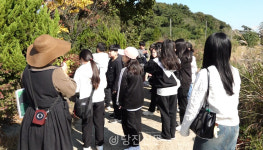 치유 프로그램 각광..석문 푸레기 농어촌체험 휴양마을