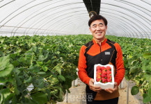 딸기로 세계를 공략해야죠..농가 단합력이 중요