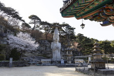 충남 방문의 해 이달의 충남 운영