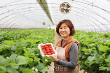 태국에서도 찾아오는 딸기농장입니다