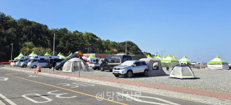 캠핑 성지된 장고항? 어촌 거점으로 언제 거듭날까