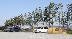 캠핑 성지된 장고항? 어촌 거점으로 언제 거듭날까
