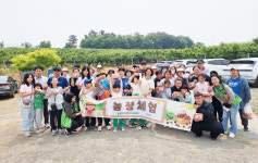 체리 따러 가요..가족과 함께 하는 농장체험
