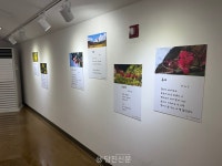 각자의 시선으로 포착한 삶의 단편, 작품으로 탄생
