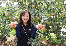 사과밭에서 다시 피어난 세 남매의 두 번째 인생