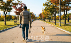 반려견 2배 늘어난 당진..민원 폭증에 경고등