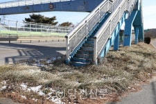 [독자제보] 개학 코앞인데..육교 안전해질까요?