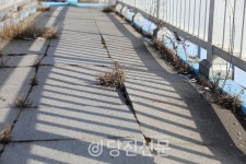 [독자제보] 개학 코앞인데..육교 안전해질까요?