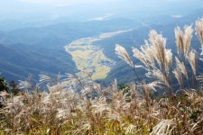 꽃 보다 단풍놀이... 의령 자굴산의 치명적 유혹