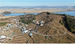 2022년 제17호 국가중요농업유산에 창원 독뫼 감 농업 지정